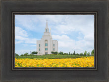 Load image into Gallery viewer, Blue and Gold Kansas City
