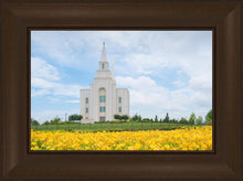 Load image into Gallery viewer, Blue and Gold Kansas City
