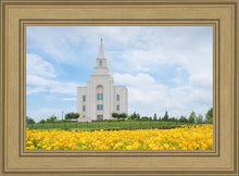 Load image into Gallery viewer, Blue and Gold Kansas City
