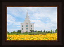 Load image into Gallery viewer, Blue and Gold Kansas City
