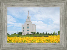 Load image into Gallery viewer, Blue and Gold Kansas City
