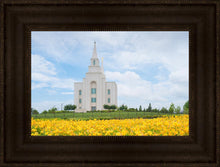 Load image into Gallery viewer, Blue and Gold Kansas City
