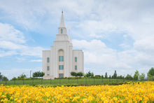 Load image into Gallery viewer, Blue and Gold Kansas City
