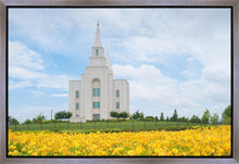 Load image into Gallery viewer, Blue and Gold Kansas City
