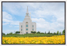 Load image into Gallery viewer, Blue and Gold Kansas City
