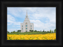 Load image into Gallery viewer, Blue and Gold Kansas City
