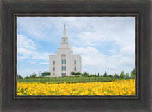 Load image into Gallery viewer, Blue and Gold Kansas City
