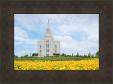 Load image into Gallery viewer, Blue and Gold Kansas City
