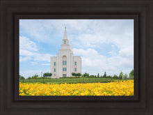 Load image into Gallery viewer, Blue and Gold Kansas City

