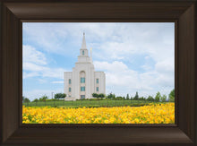 Load image into Gallery viewer, Blue and Gold Kansas City
