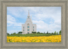 Load image into Gallery viewer, Blue and Gold Kansas City
