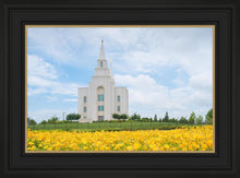 Load image into Gallery viewer, Blue and Gold Kansas City
