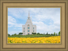 Load image into Gallery viewer, Blue and Gold Kansas City
