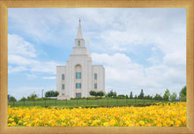 Load image into Gallery viewer, Blue and Gold Kansas City
