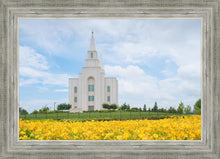 Load image into Gallery viewer, Blue and Gold Kansas City
