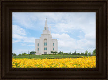 Load image into Gallery viewer, Blue and Gold Kansas City
