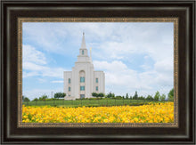 Load image into Gallery viewer, Blue and Gold Kansas City
