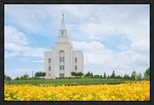 Load image into Gallery viewer, Blue and Gold Kansas City
