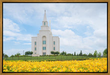 Load image into Gallery viewer, Blue and Gold Kansas City
