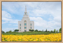 Load image into Gallery viewer, Blue and Gold Kansas City
