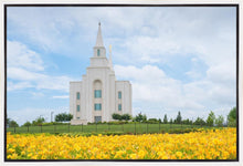 Load image into Gallery viewer, Blue and Gold Kansas City
