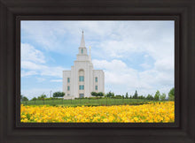 Load image into Gallery viewer, Blue and Gold Kansas City
