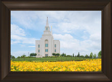 Load image into Gallery viewer, Blue and Gold Kansas City
