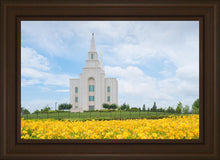 Load image into Gallery viewer, Blue and Gold Kansas City
