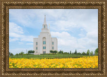 Load image into Gallery viewer, Blue and Gold Kansas City
