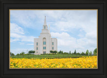 Load image into Gallery viewer, Blue and Gold Kansas City
