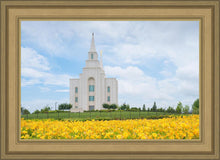 Load image into Gallery viewer, Blue and Gold Kansas City
