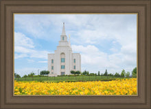 Load image into Gallery viewer, Blue and Gold Kansas City
