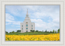 Load image into Gallery viewer, Blue and Gold Kansas City
