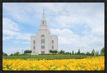 Load image into Gallery viewer, Blue and Gold Kansas City
