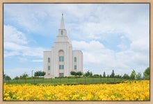 Load image into Gallery viewer, Blue and Gold Kansas City
