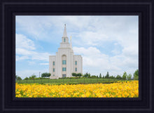 Load image into Gallery viewer, Blue and Gold Kansas City
