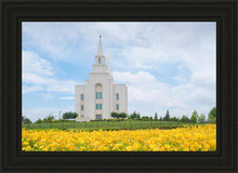 Load image into Gallery viewer, Blue and Gold Kansas City
