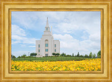 Load image into Gallery viewer, Blue and Gold Kansas City
