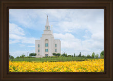 Load image into Gallery viewer, Blue and Gold Kansas City
