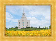 Load image into Gallery viewer, Blue and Gold Kansas City
