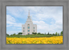Load image into Gallery viewer, Blue and Gold Kansas City
