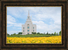 Load image into Gallery viewer, Blue and Gold Kansas City
