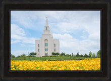 Load image into Gallery viewer, Blue and Gold Kansas City

