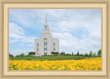 Load image into Gallery viewer, Blue and Gold Kansas City

