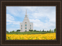 Load image into Gallery viewer, Blue and Gold Kansas City

