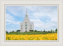 Load image into Gallery viewer, Blue and Gold Kansas City

