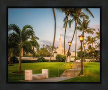 Load image into Gallery viewer, Kona Temple Grounds

