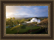 Load image into Gallery viewer, Laie Island Glow
