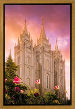 Load image into Gallery viewer, Salt Lake Tulips
