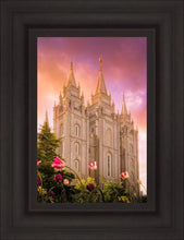 Load image into Gallery viewer, Salt Lake Tulips
